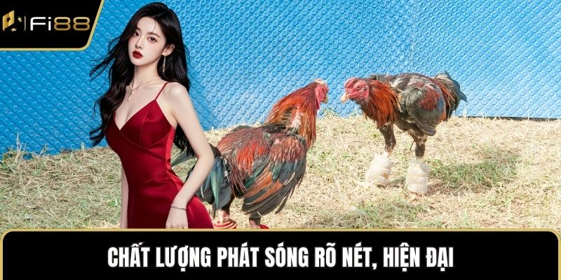 Chất lượng phát sóng rõ nét, hiện đại
