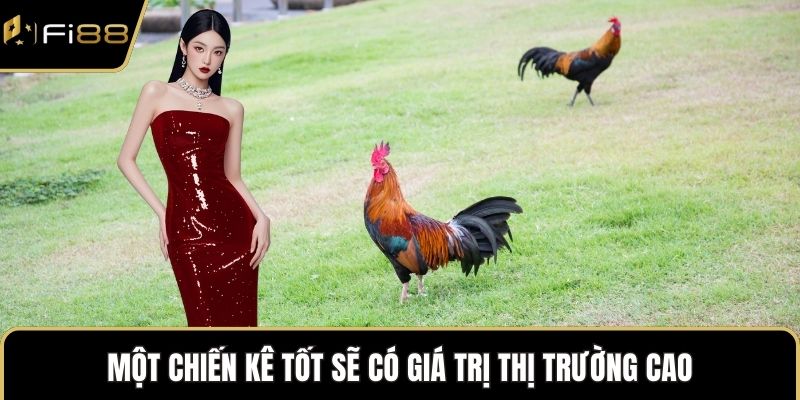 Một chiến kê tốt sẽ có giá trị thị trường cao