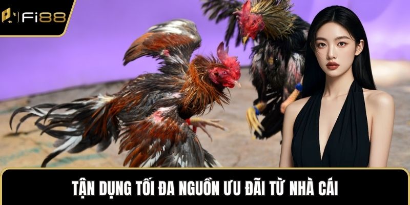 Tận dụng tối đa nguồn ưu đãi từ nhà cái