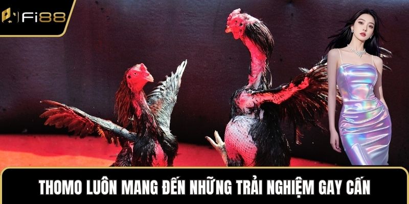 Thomo luôn mang đến những trải nghiệm gay cấn