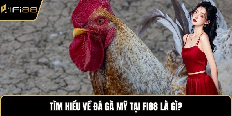 Tìm hiểu về đá gà mỹ tại FI88 là gì?